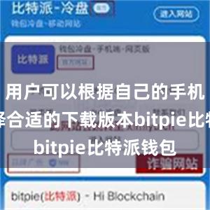 用户可以根据自己的手机系统选择合适的下载版本bitpie比特派钱包