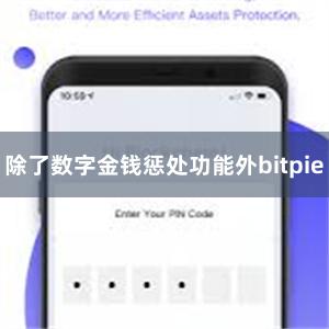 除了数字金钱惩处功能外bitpie